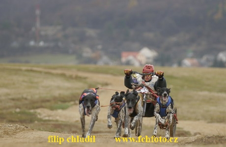 Bakonybel - 0223.JPG